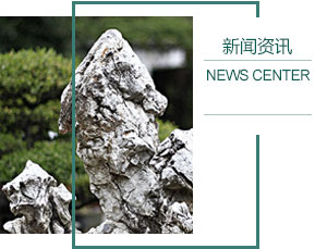 东观镇